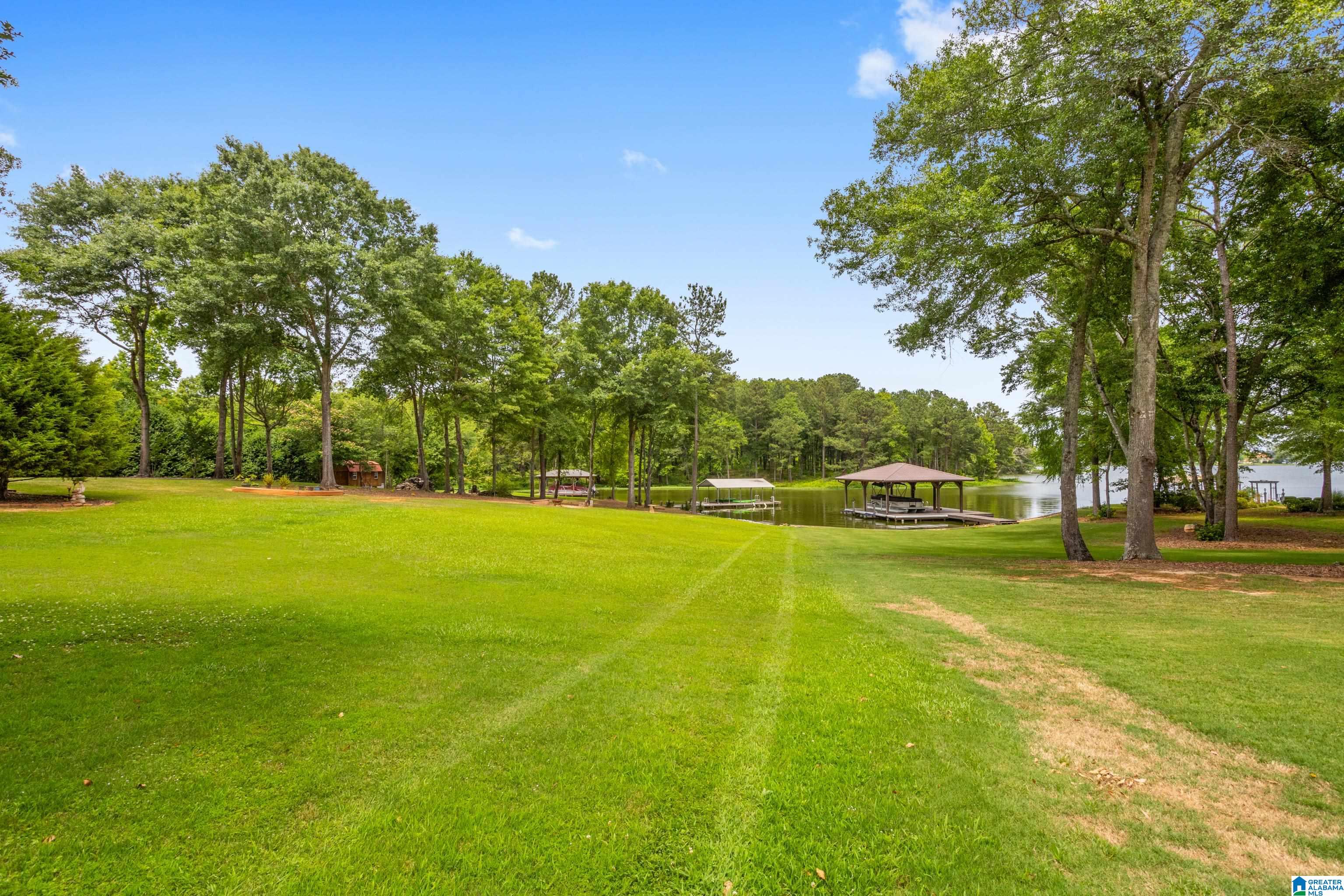 113 Harmons Island Road Cropwell, AL 35054 - Photo 47 of 61