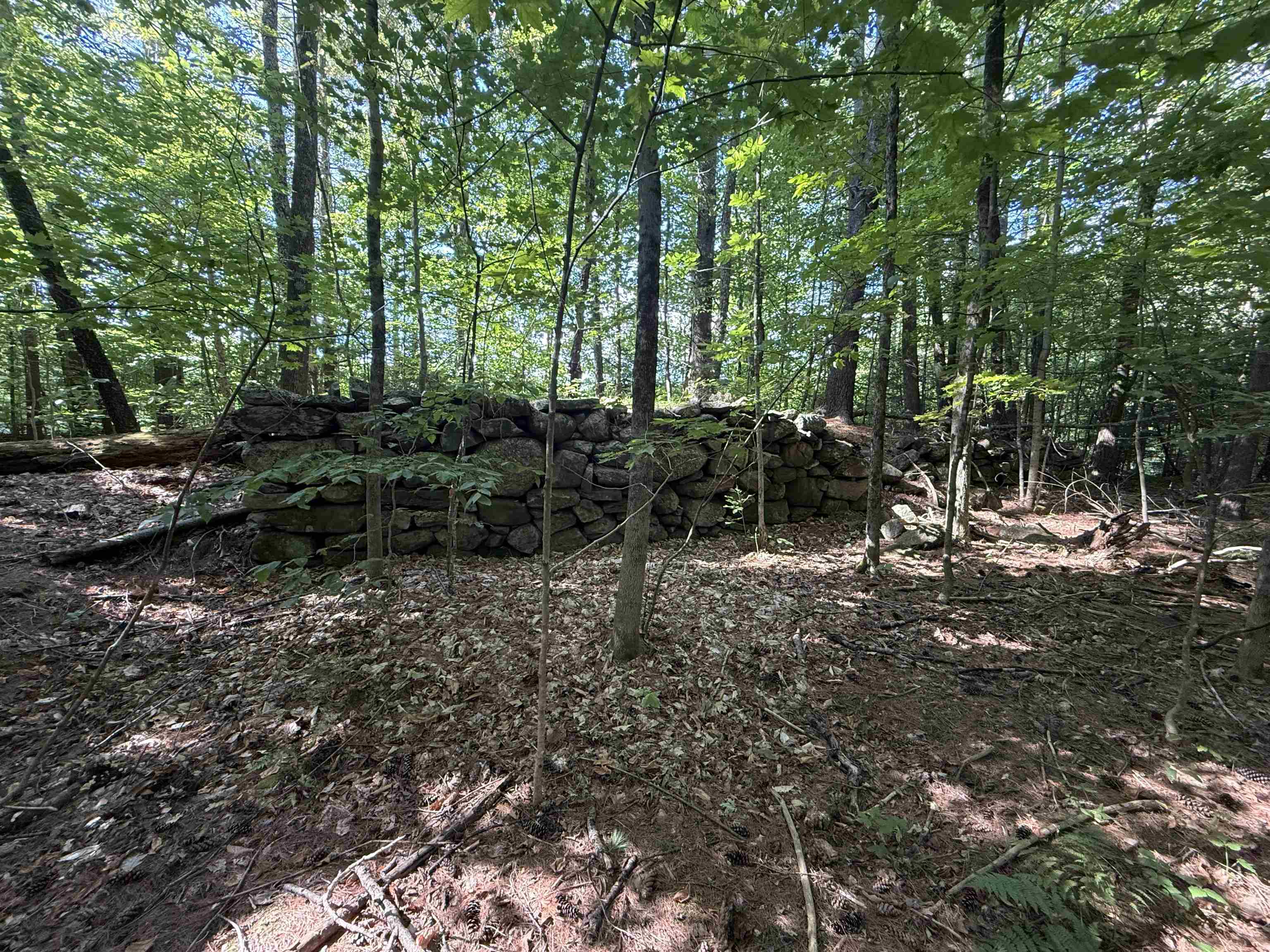 Lot 414-46 Parsonage Hill Road Gilmanton, NH 03237 - Photo 14 of 17 Gallery Image 14