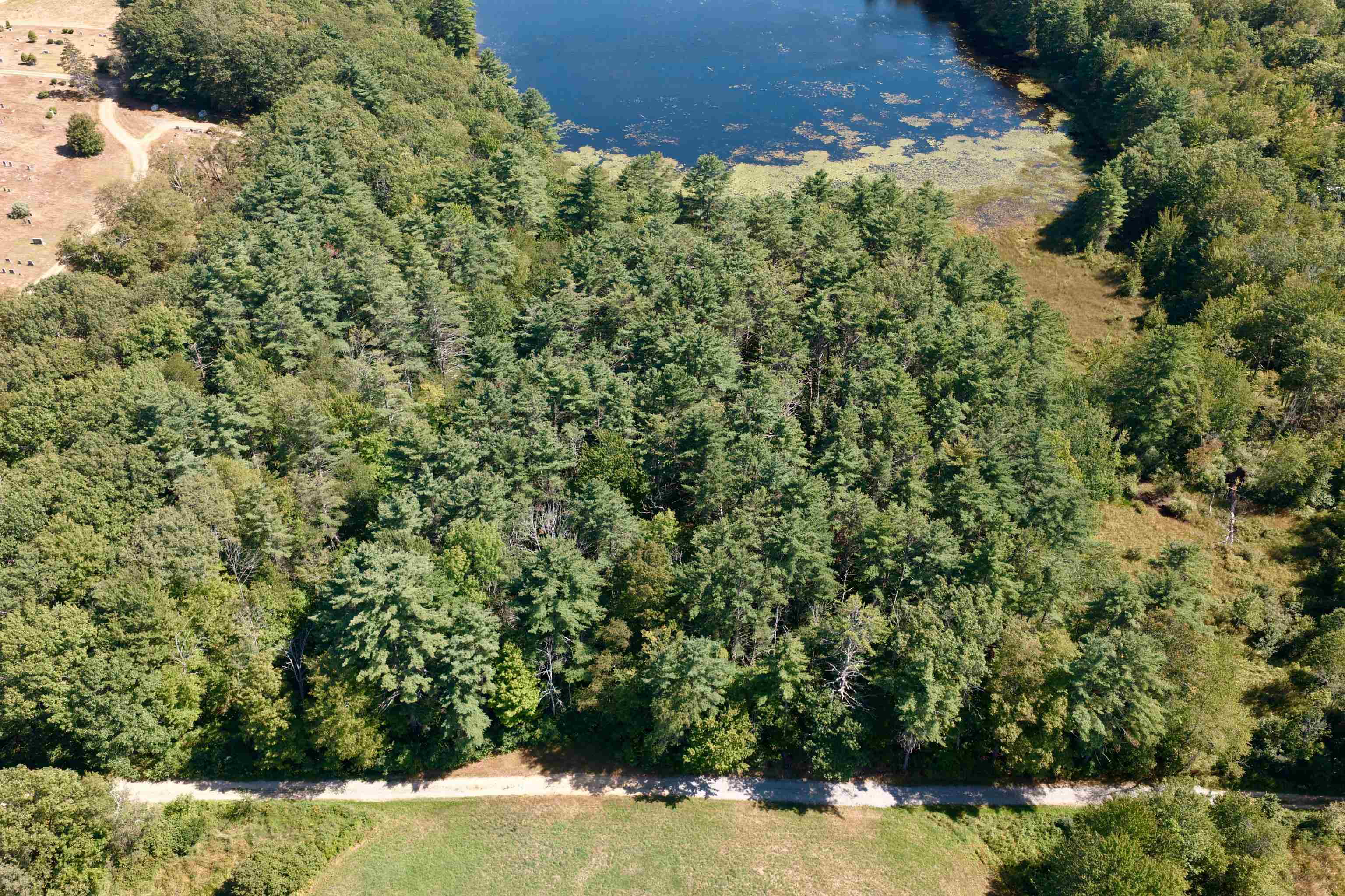 Lot 414-46 Parsonage Hill Road Gilmanton, NH 03237 - Photo 5 of 17 Gallery Image 5