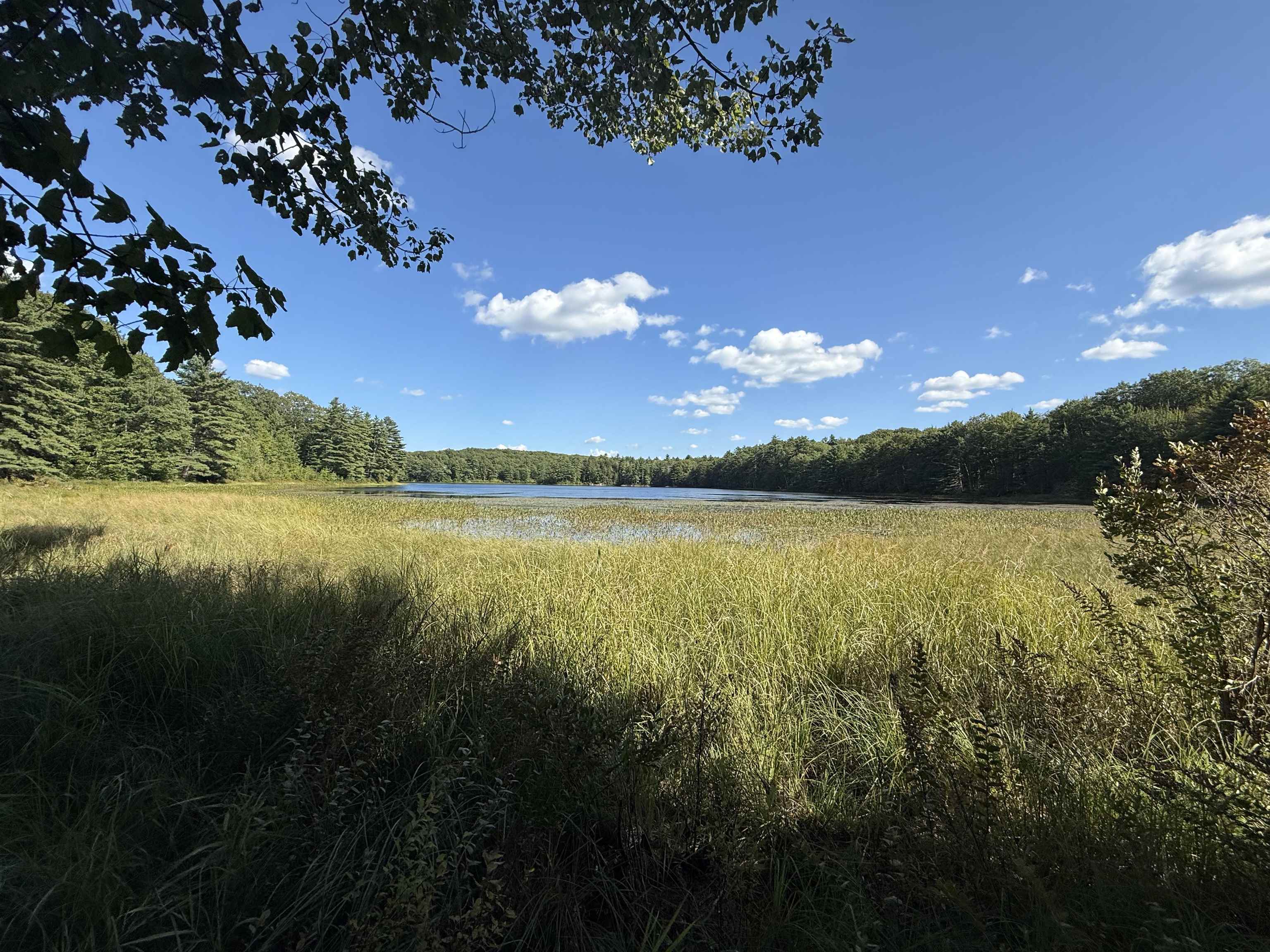 Lot 414-46 Parsonage Hill Road Gilmanton, NH 03237 - Photo 8 of 17 Gallery Image 8