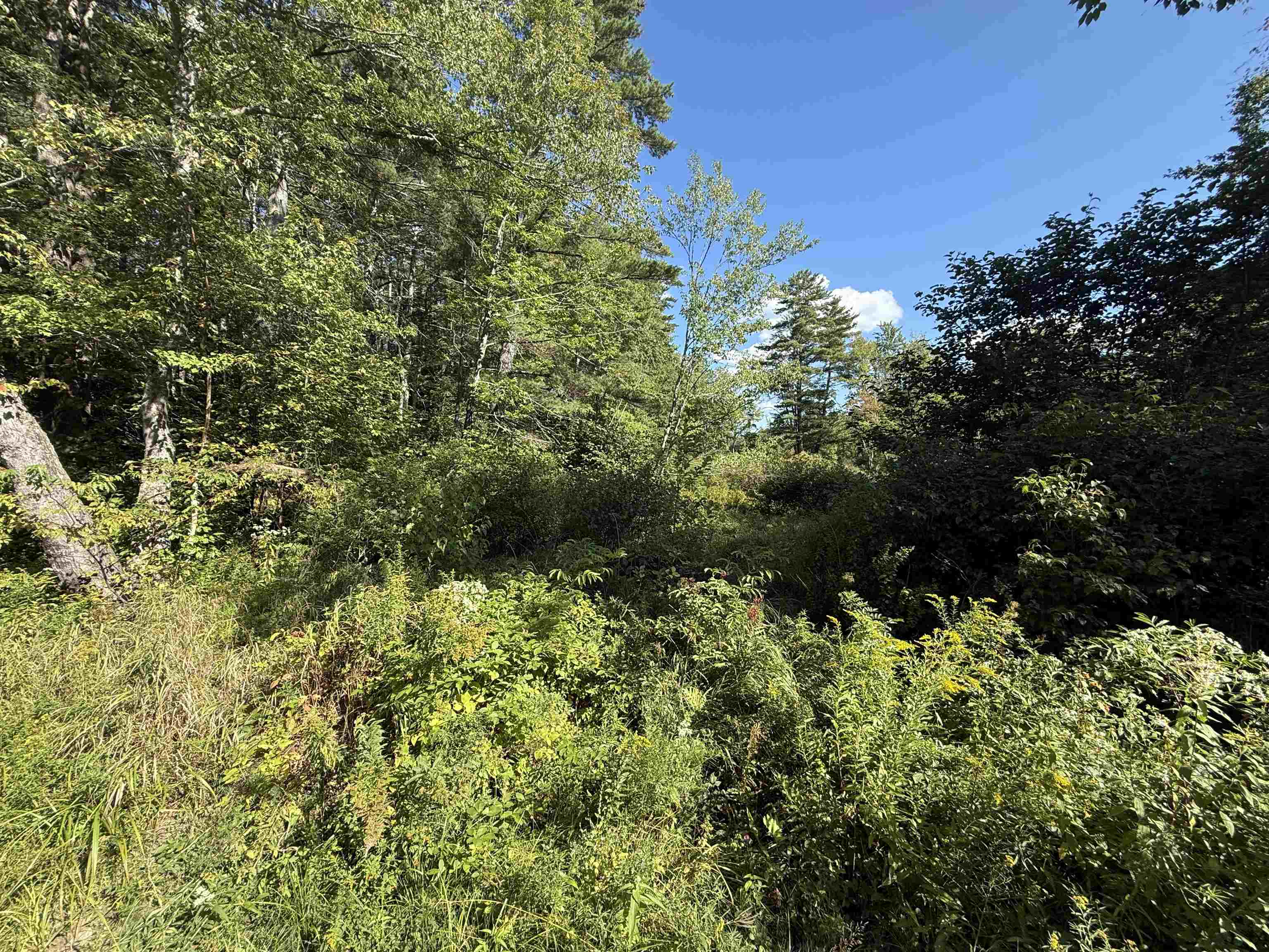 Lot 414-46 Parsonage Hill Road Gilmanton, NH 03237 - Photo 9 of 17 Gallery Image 9