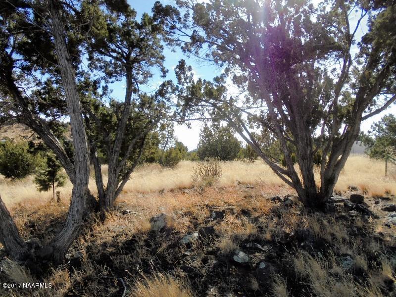 5901 Leupp Road Flagstaff, AZ 86004 - Photo 4 of 10 DSC00776