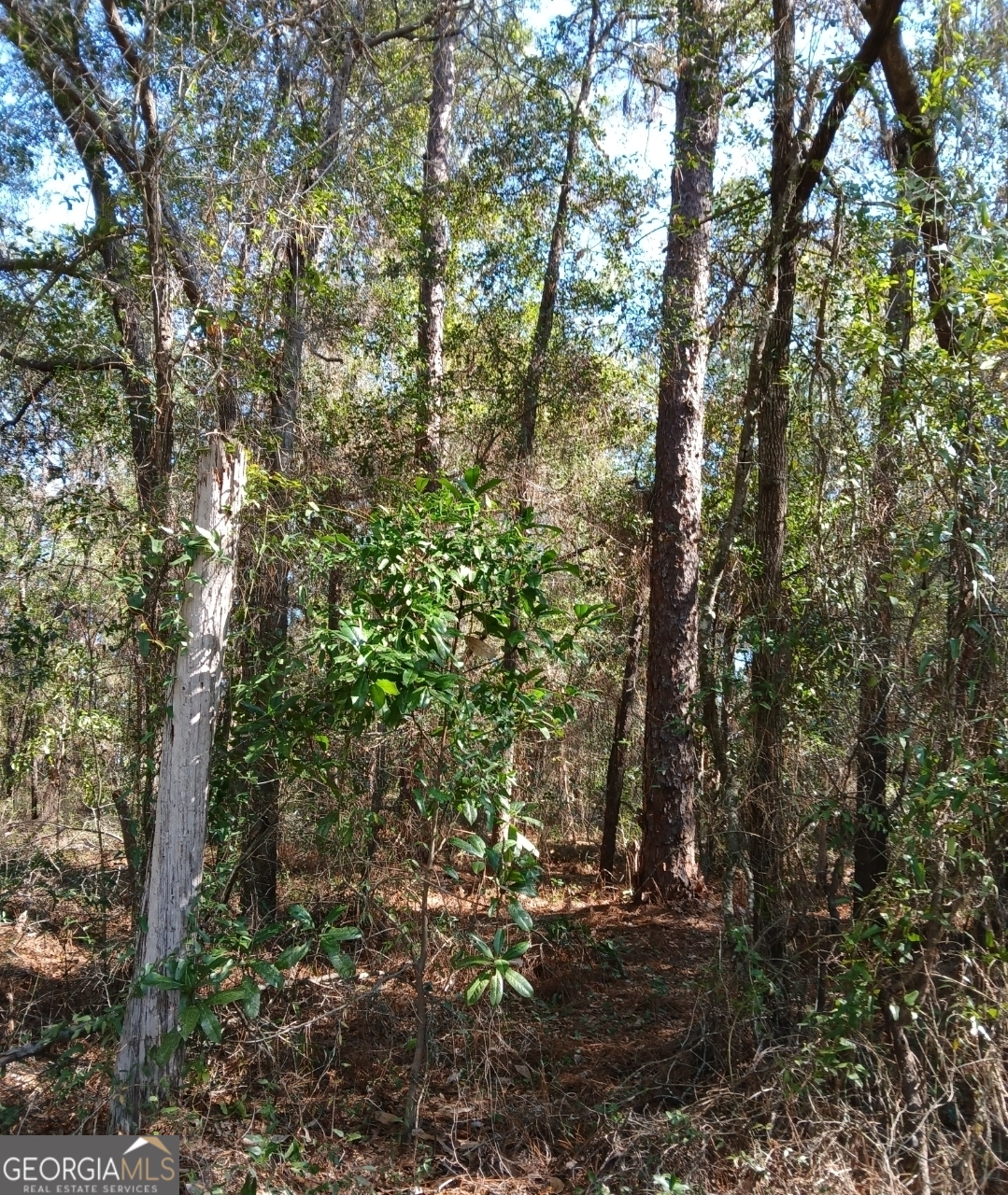 3 Kelly Road, Unit LOT 3 Folkston, GA 31537 - Photo 11 of 11