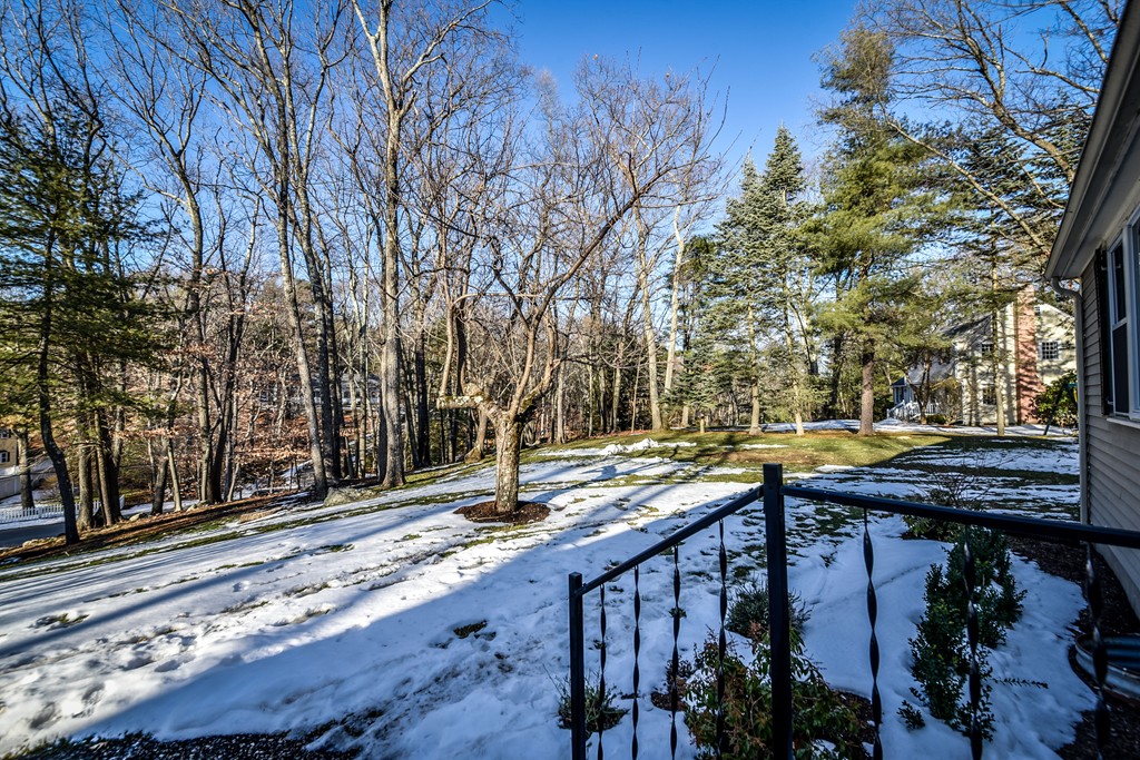 24 Cedar Hill Road Dover, MA 02030 - Photo 19 of 22 Gallery Image 19