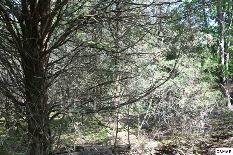 0 Lot 35 Buck Horn Road Sevierville, TN 37876 - Photo 25 of 30
