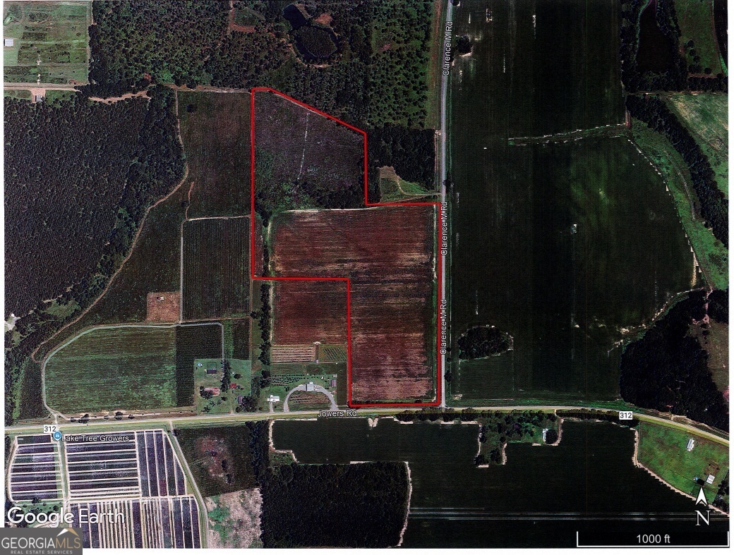 0 Jowers Road Whigham, GA 39897 - Photo 2 of 5