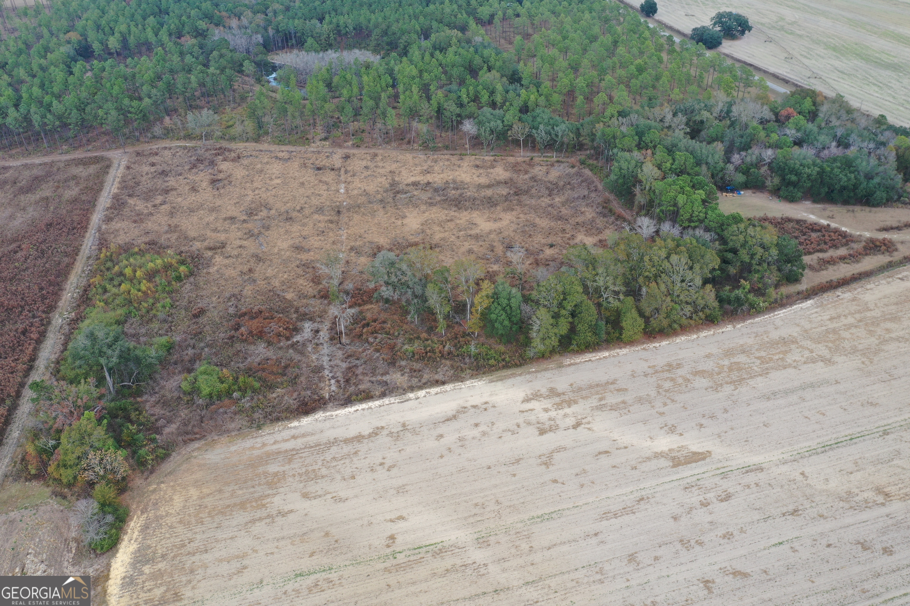 0 Jowers Road Whigham, GA 39897 - Photo 3 of 5 a view of a dry yard with wooden fence