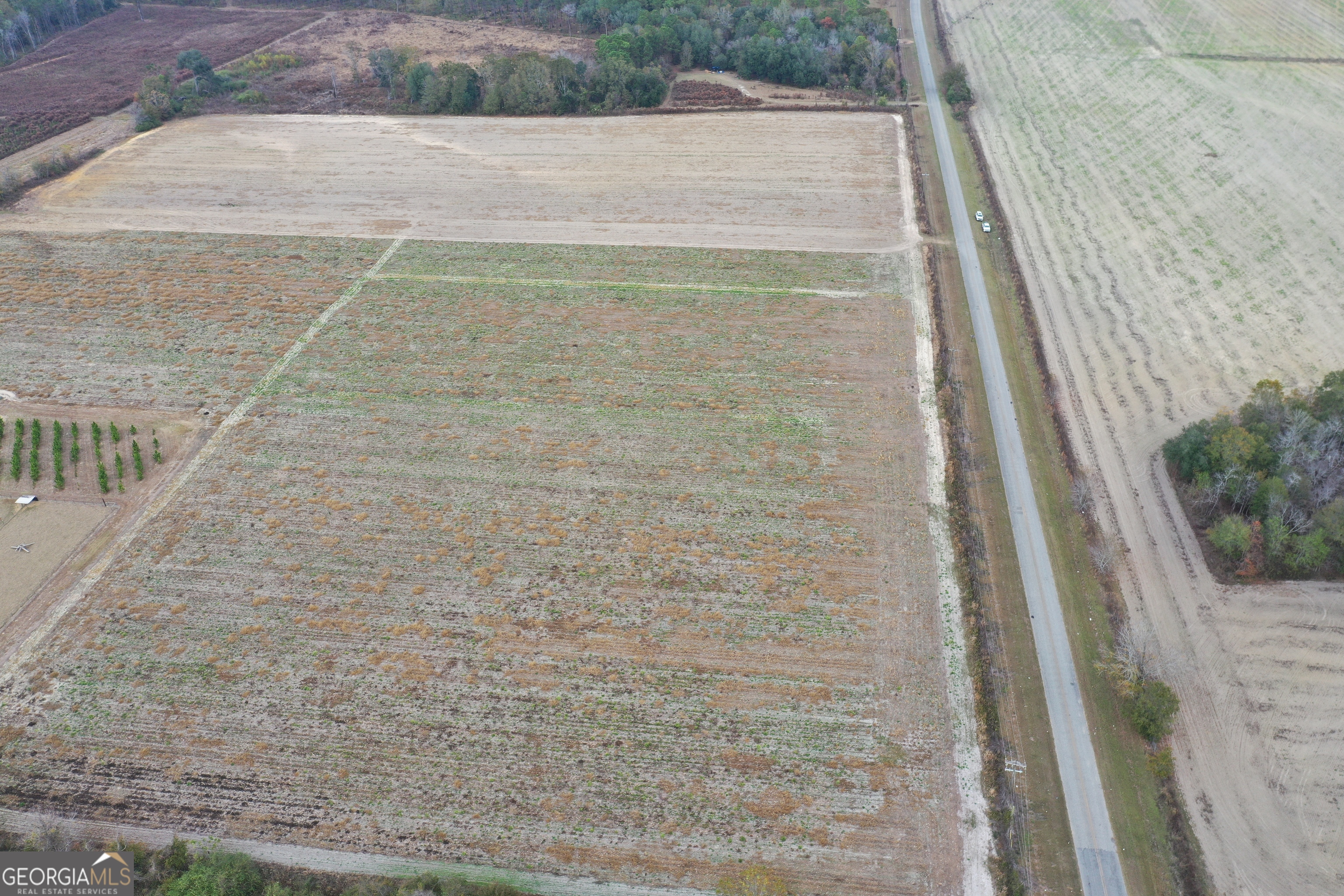 0 Jowers Road Whigham, GA 39897 - Photo 4 of 5 a view of outdoor space