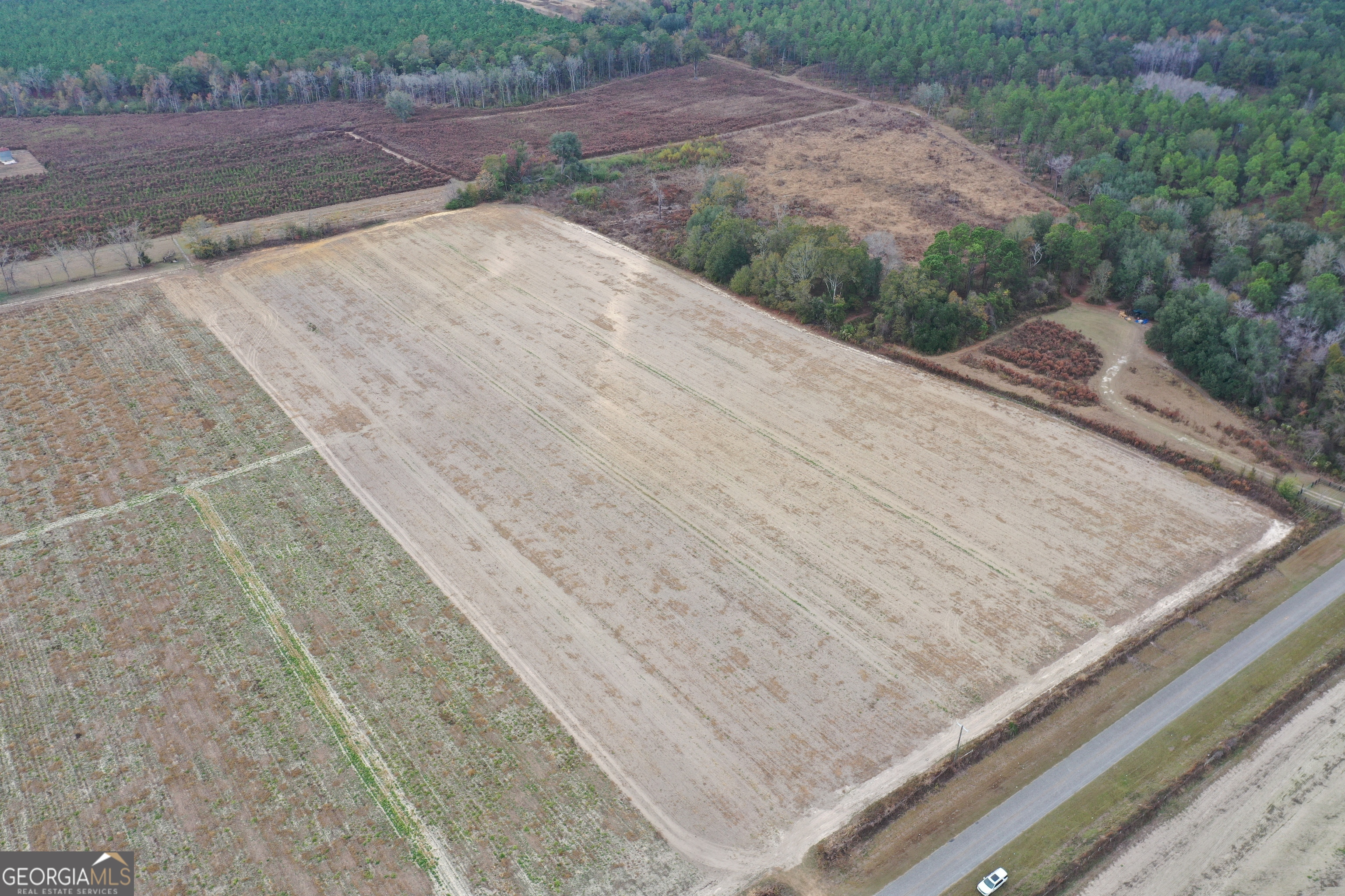 0 Jowers Road Whigham, GA 39897 - Photo 5 of 5 a view of wooden floor with a dry yard