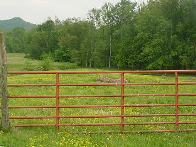 346 Hope Means Road Means, KY 40346 - Photo 3 of 6 Photo 3