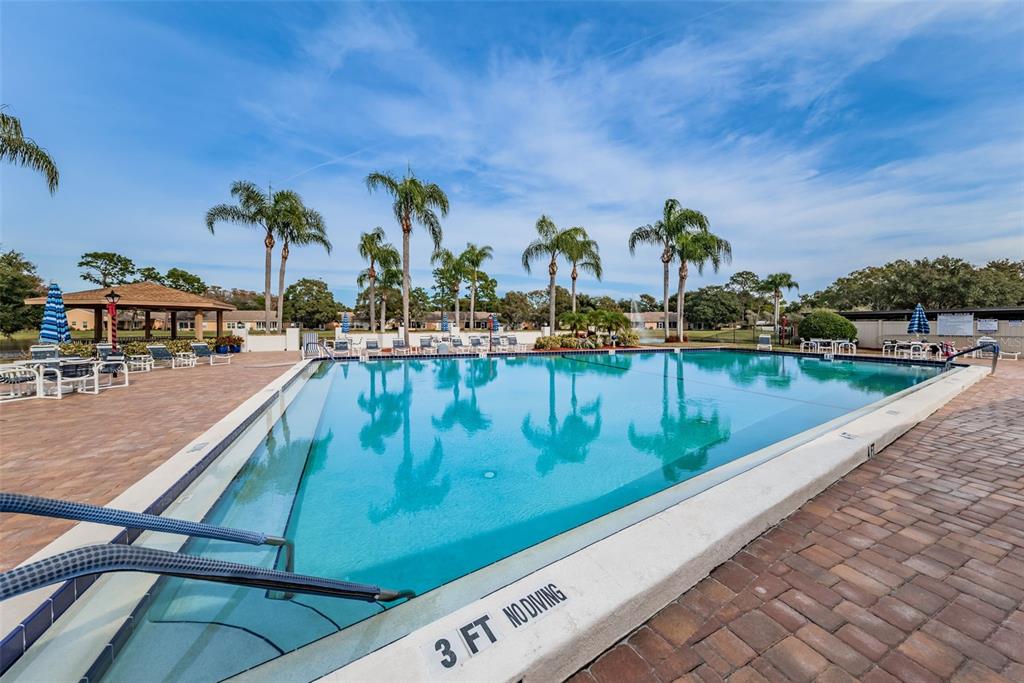 9427 Cape Charles Avenue New Port Richey, FL 34655 - Photo 46 of 82 a view of swimming pool from a balcony