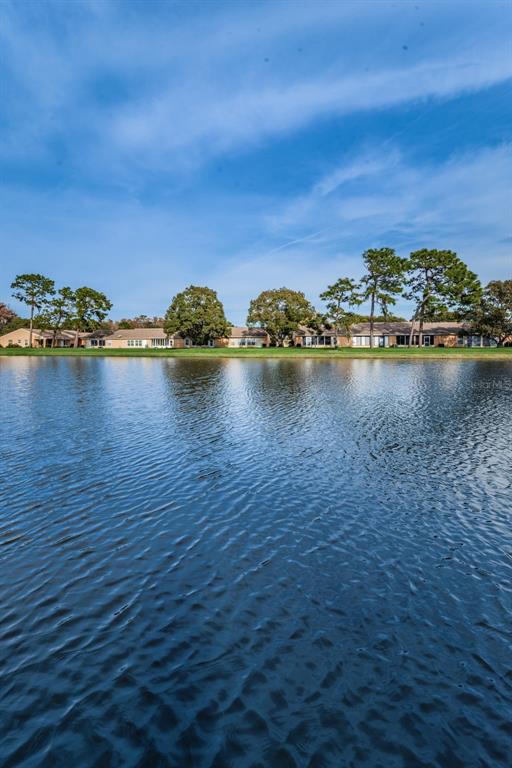 9427 Cape Charles Avenue New Port Richey, FL 34655 - Photo 55 of 82 a view of an ocean with city view