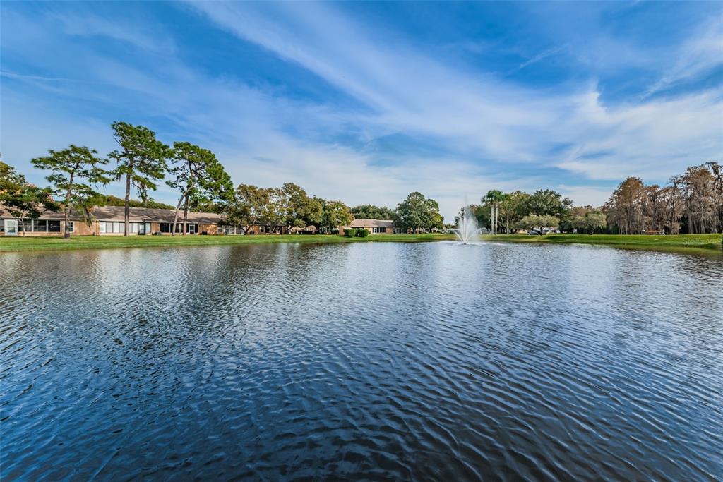 9427 Cape Charles Avenue New Port Richey, FL 34655 - Photo 56 of 82 a view of a lake with houses in the back