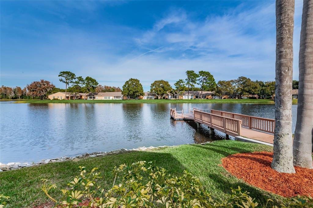 9427 Cape Charles Avenue New Port Richey, FL 34655 - Photo 57 of 82