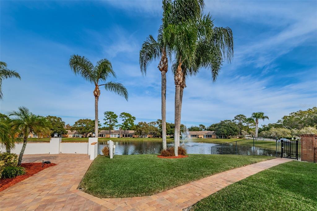 9427 Cape Charles Avenue New Port Richey, FL 34655 - Photo 58 of 82 a view of a palm tree next to a yard