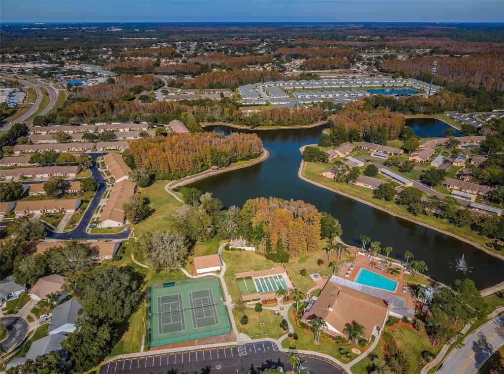 9427 Cape Charles Avenue New Port Richey, FL 34655 - Photo 65 of 82