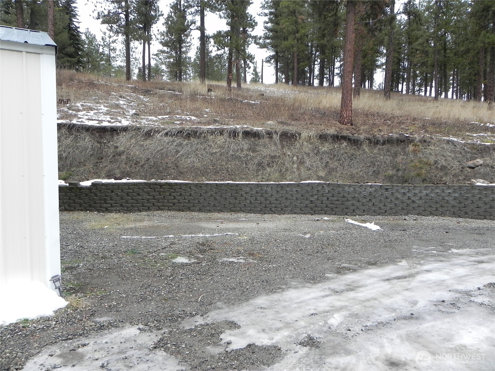 230 Silver Street Republic, WA 99166 - Photo 22 of 25 a view of dirt yard with a large tree