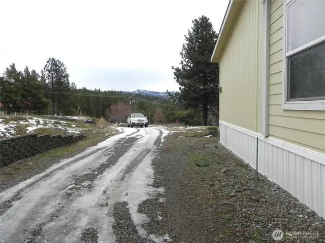 a view of a tree in a yard