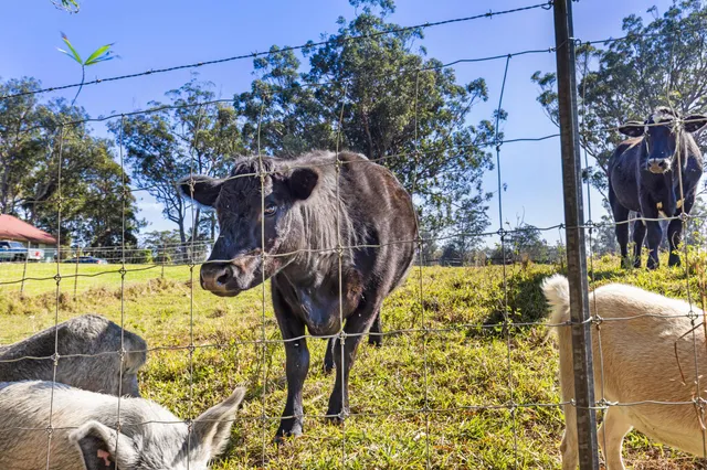 $1,200,000 | 46-4053 Kahana Drive, Honokaa, HI 96727