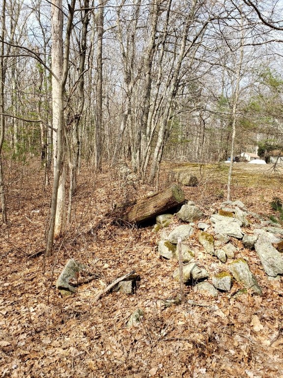 0 Paris Irons Road Glocester, RI 02814 - Photo 3 of 9