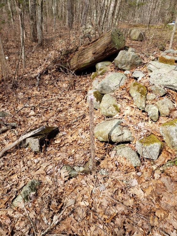 0 Paris Irons Road Glocester, RI 02814 - Photo 4 of 9