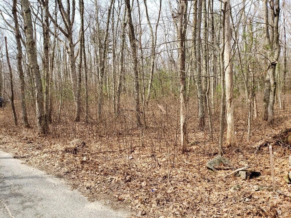 0 Paris Irons Road Glocester, RI 02814 - Photo 5 of 9