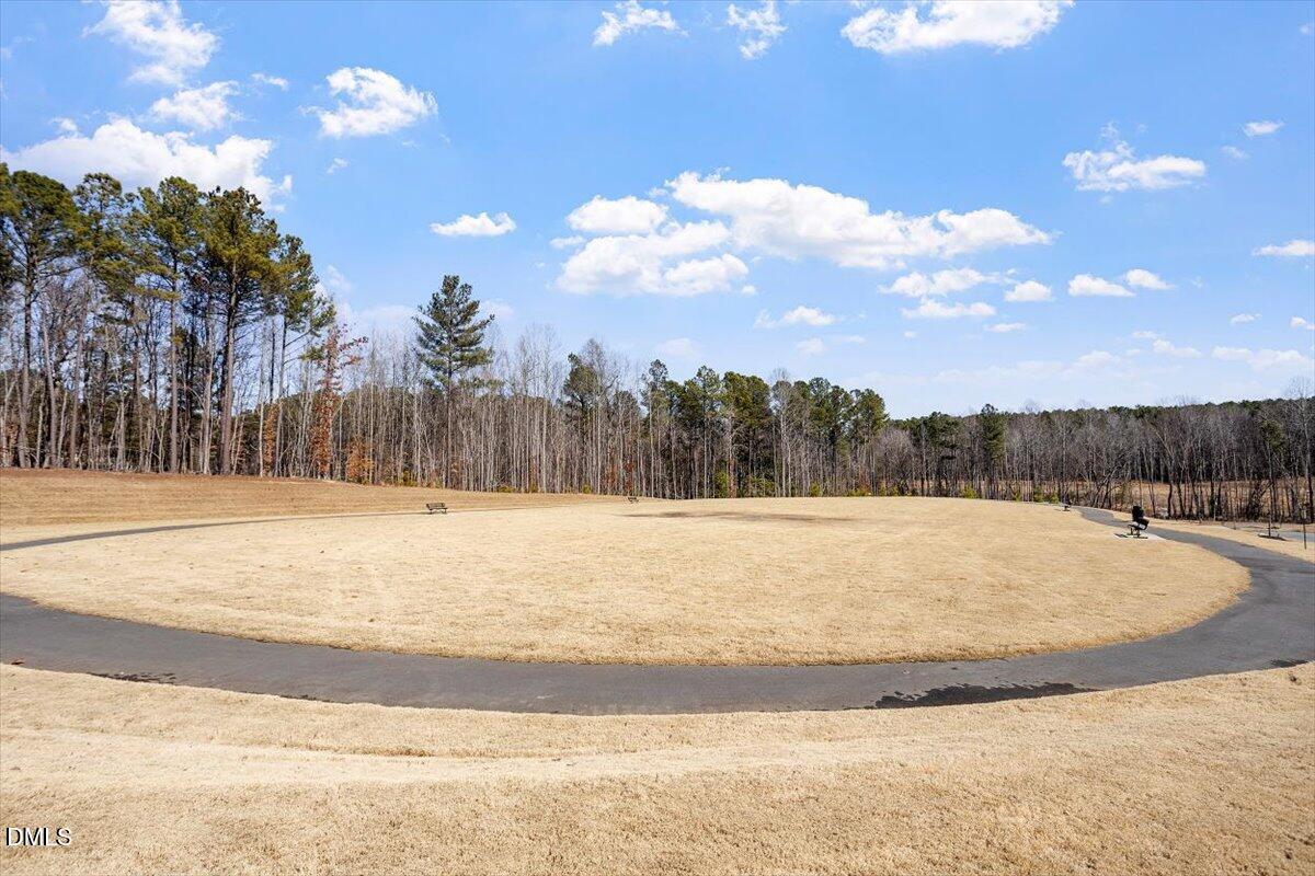 156 Sweet Lilac Way Raleigh, NC 27610 - Photo 35 of 38 42-Edge of Auburn NA_06