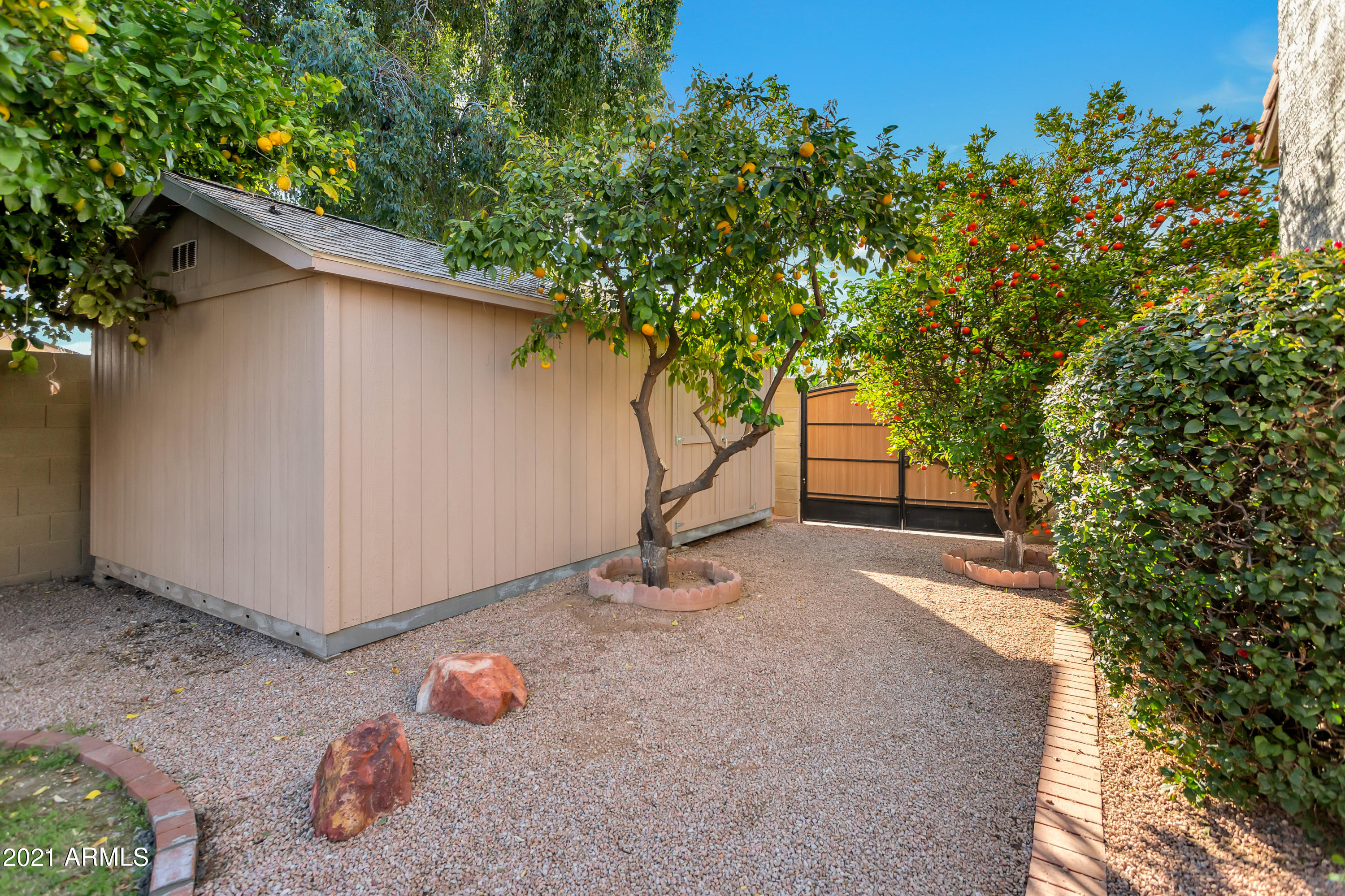 4617 East Hearn Road Phoenix, AZ 85032 - Photo 36 of 36 BACKYARD SHED