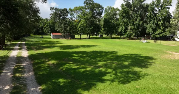 a garden with trees in the background