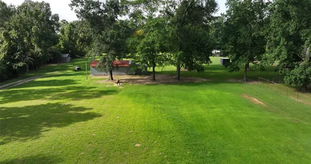 a view of a park with large trees