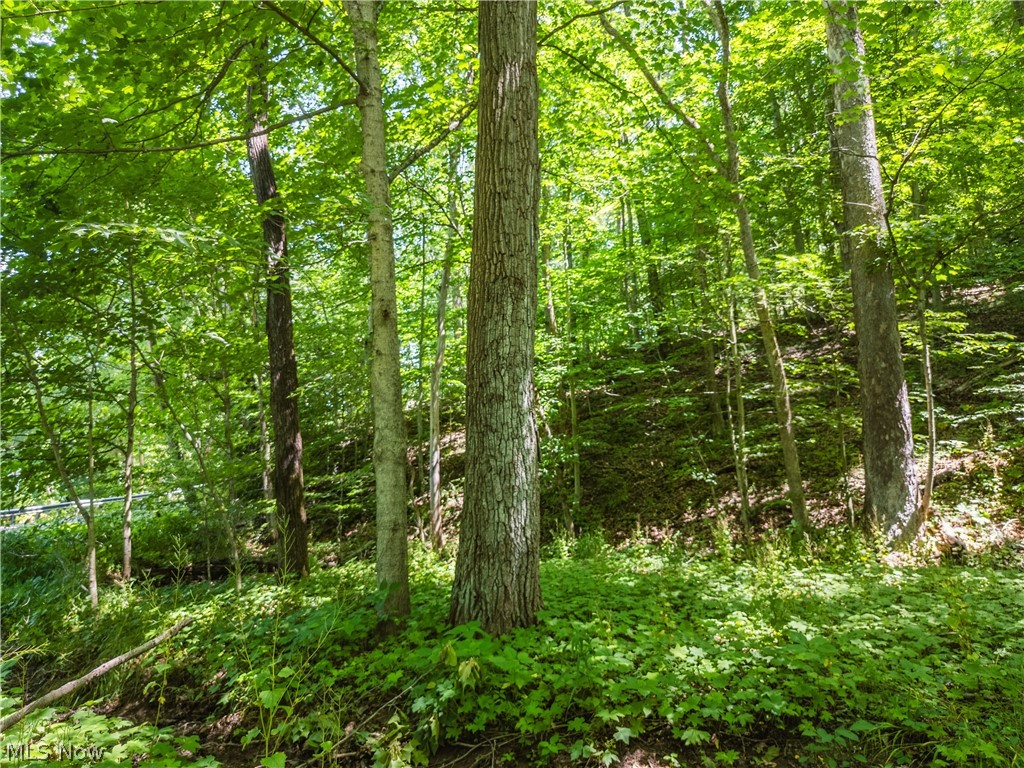 Norris Road Tippecanoe, OH 44699 - Photo 23 of 32