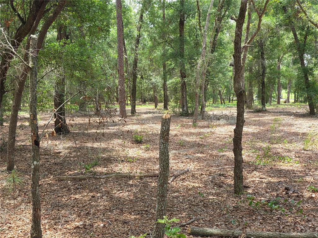 Rolling Ares Road West Lady Lake, FL 32159 - Photo 24 of 48 Gallery Image 24