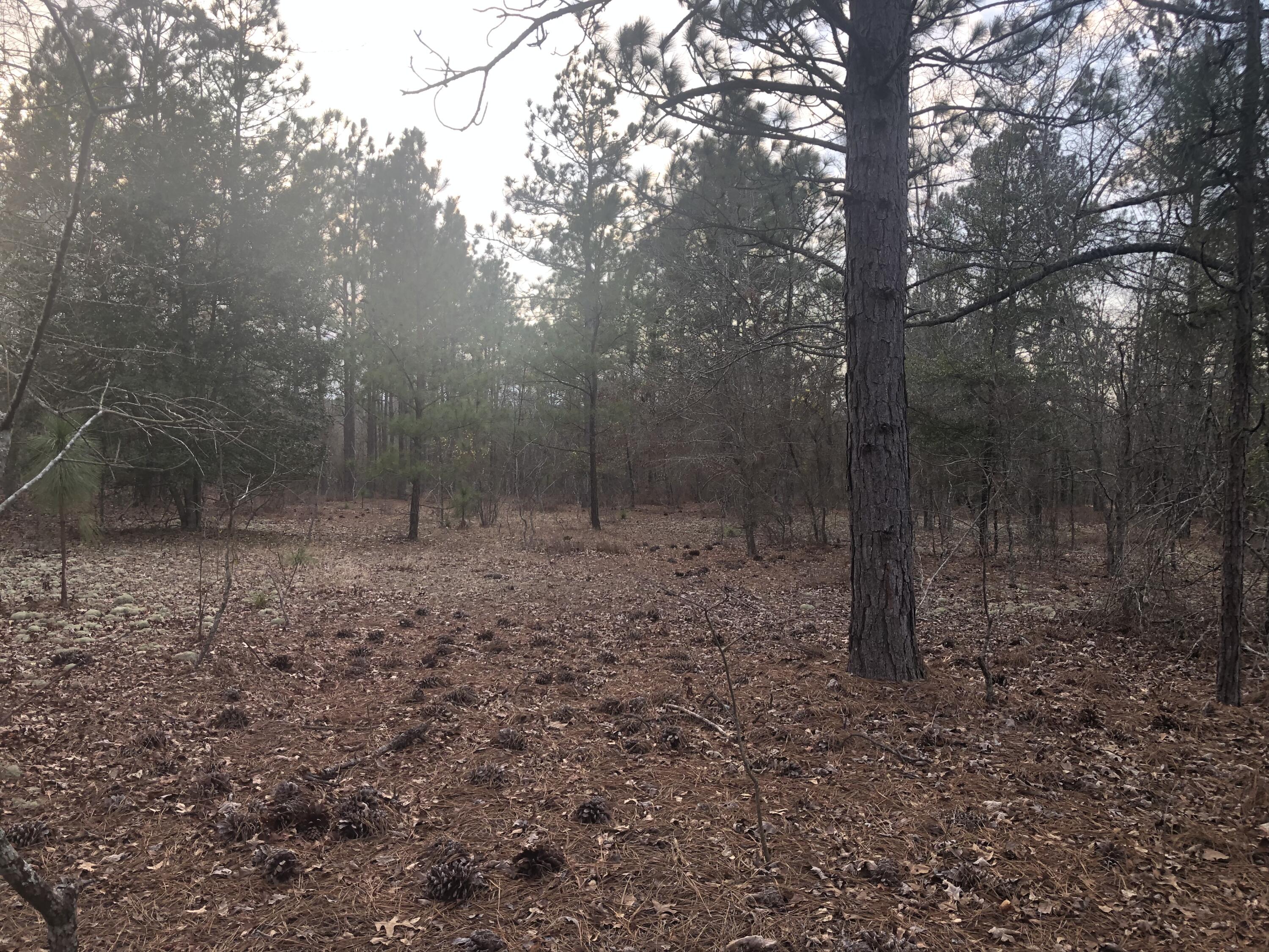 0 Coleman Bridge Road Northeast Aiken, SC 29801 - Photo 1 of 7
