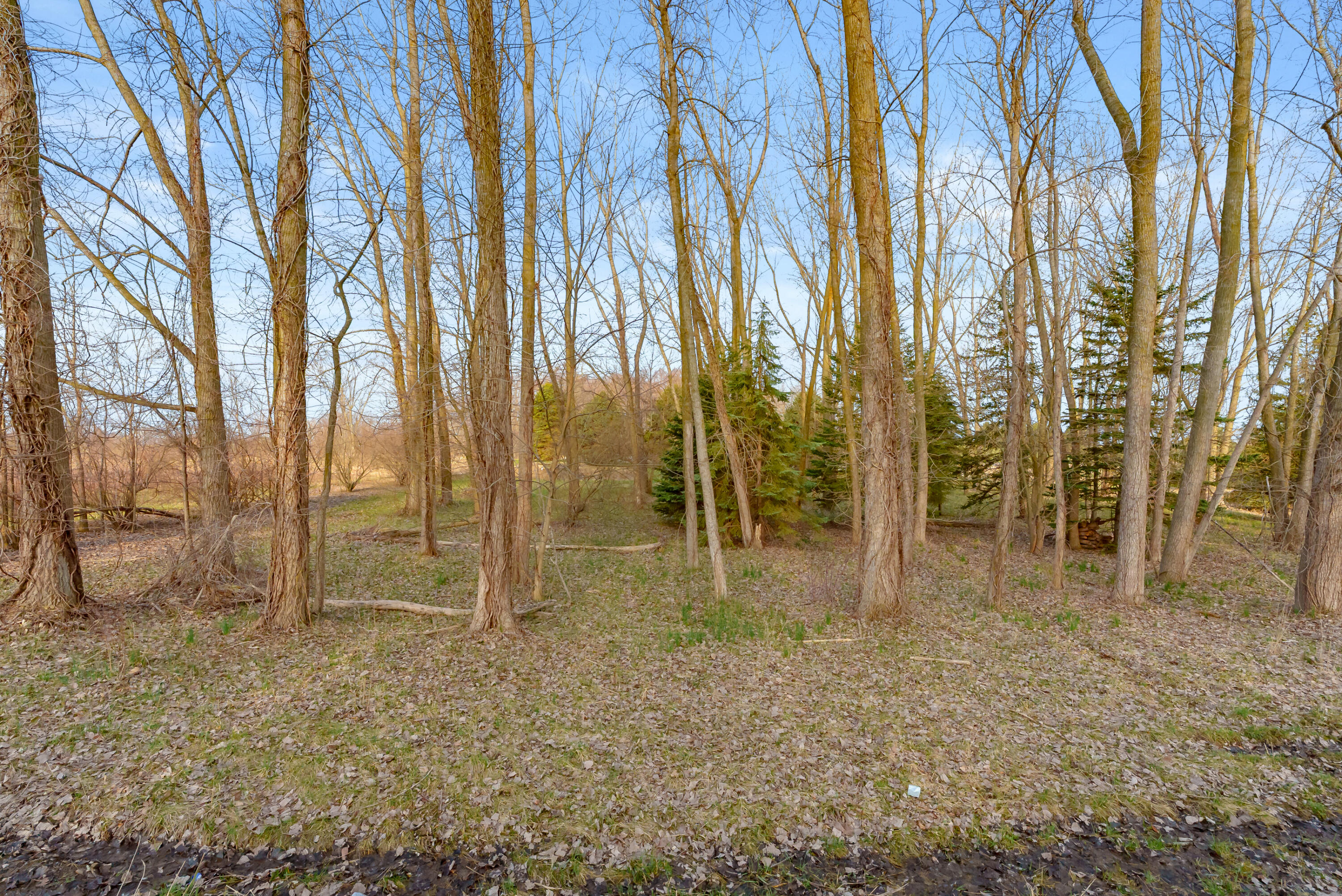 2 South Scottdale Road Berrien Springs, MI 49103 - Photo 10 of 15 Scottdale Rd VL 11-17-0030-0040-20-0_-3