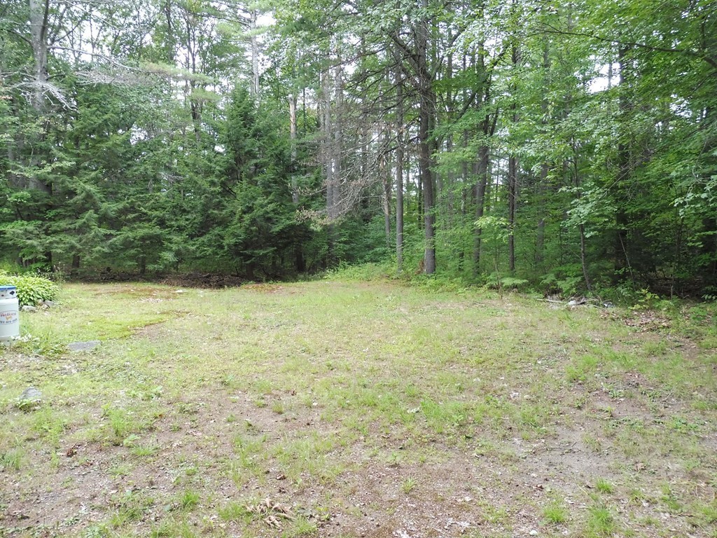 145 Holt Road Ashburnham, MA 01430 - Photo 13 of 13 a view of a yard with trees