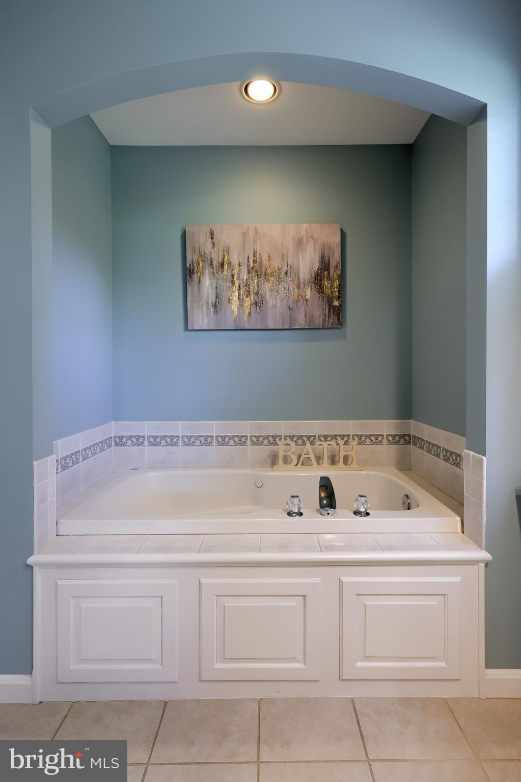 367 Portland Place Lititz, PA 17543 - Photo 38 of 56 Primary Bath