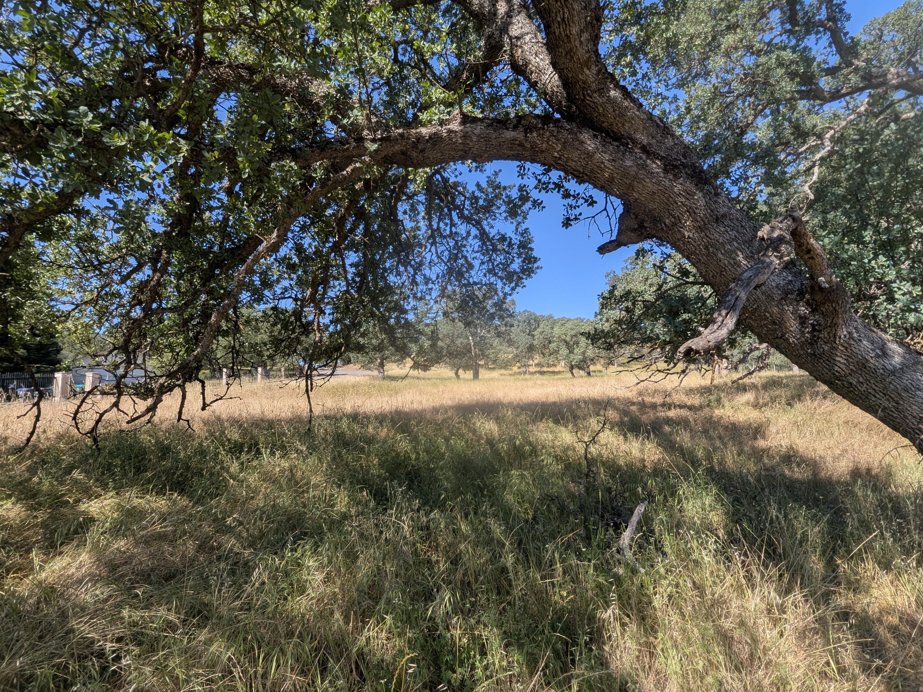 22580 Rio Robles Drive Red Bluff, CA 96080 - Photo 4 of 8 PXL_20260429_172359008