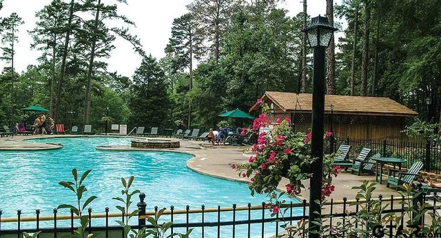 a garden view with a sitting space