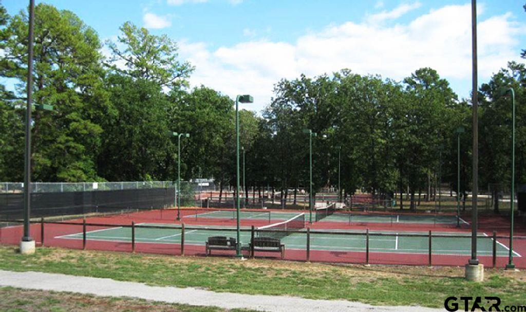 316-317 Brazos Bend Holly Lake Ranch, TX 75765 - Photo 17 of 26 a garden view with a sitting space