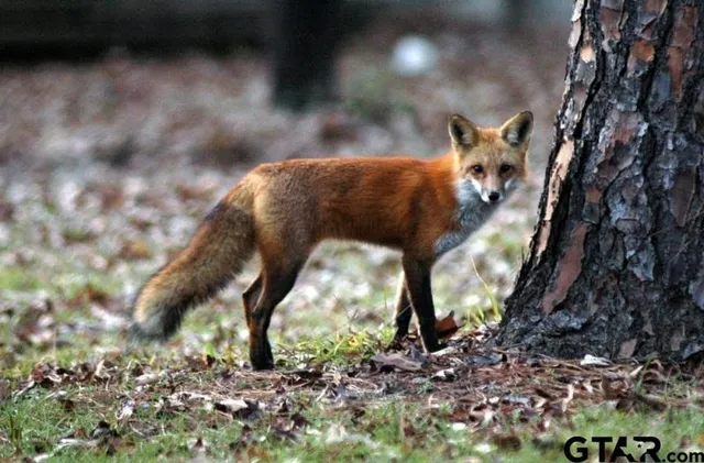 a view of a tennis court