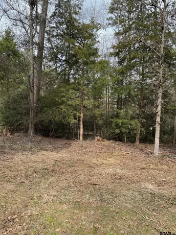 a fire hydrant in the middle of a field