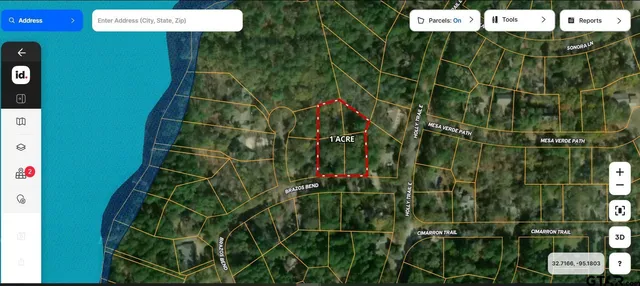 a view of a forest with trees in the background