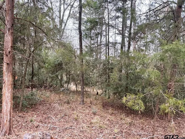 a backyard of a house with lots of trees