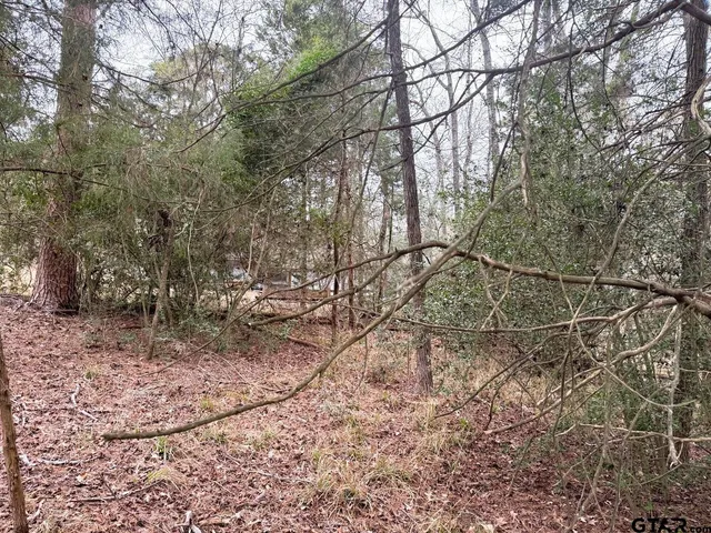 a view of outdoor space and trees