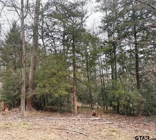 a view of a yard with trees