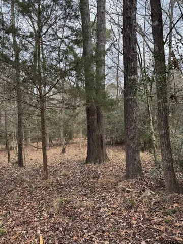 a view of a park with tree s