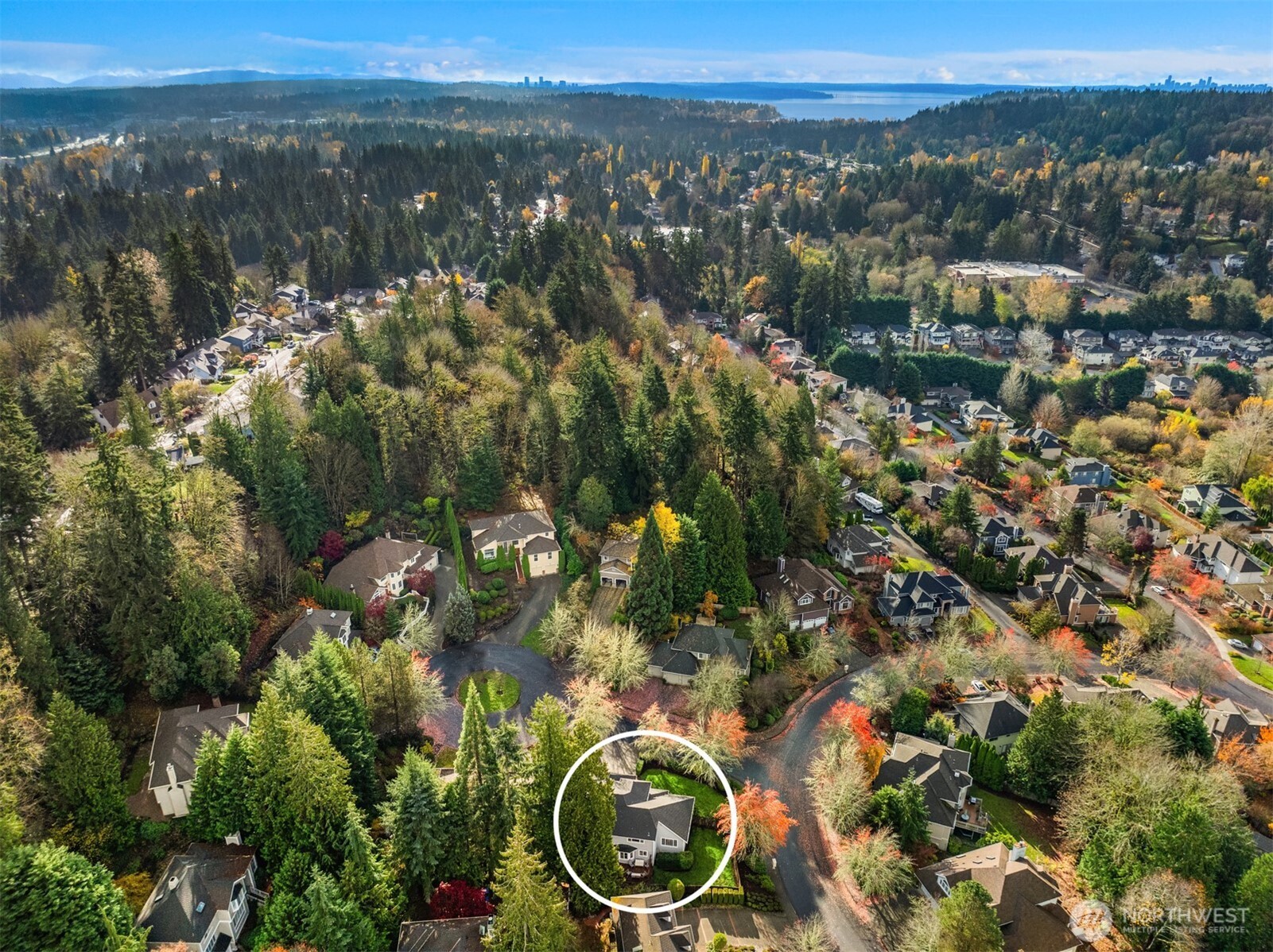 10330 Northeast 151st Place Bothell, WA 98011 - Photo 35 of 38 a view of a city with mountains in the background