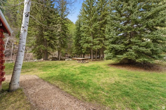 6631 Pine Springs Road Kamas, UT 84036 - Photo 29 of 48 View of grassy yard with view of scattered trees