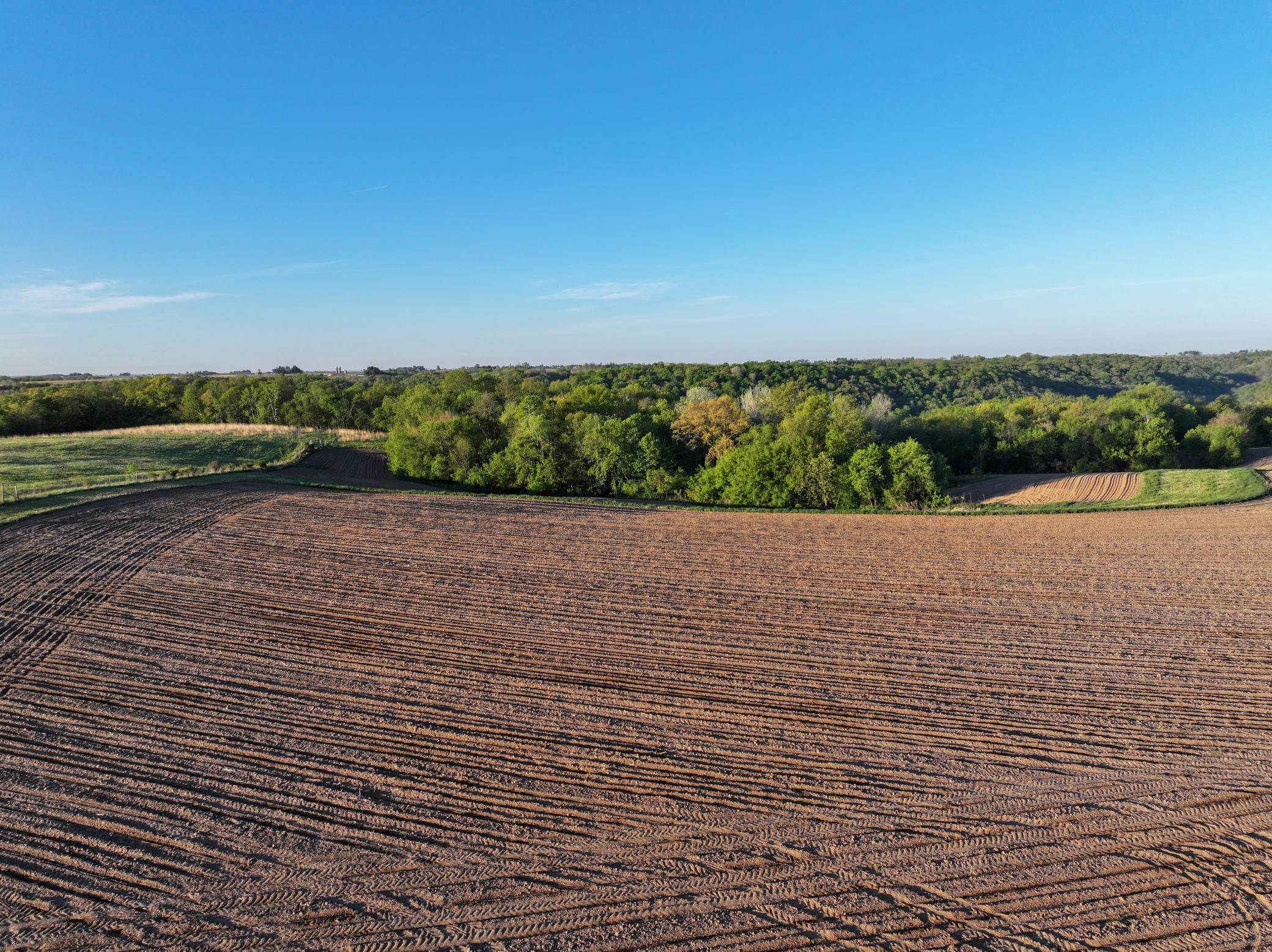 19807 Balentine Road Caledonia, MN 55921 - Photo 62 of 91