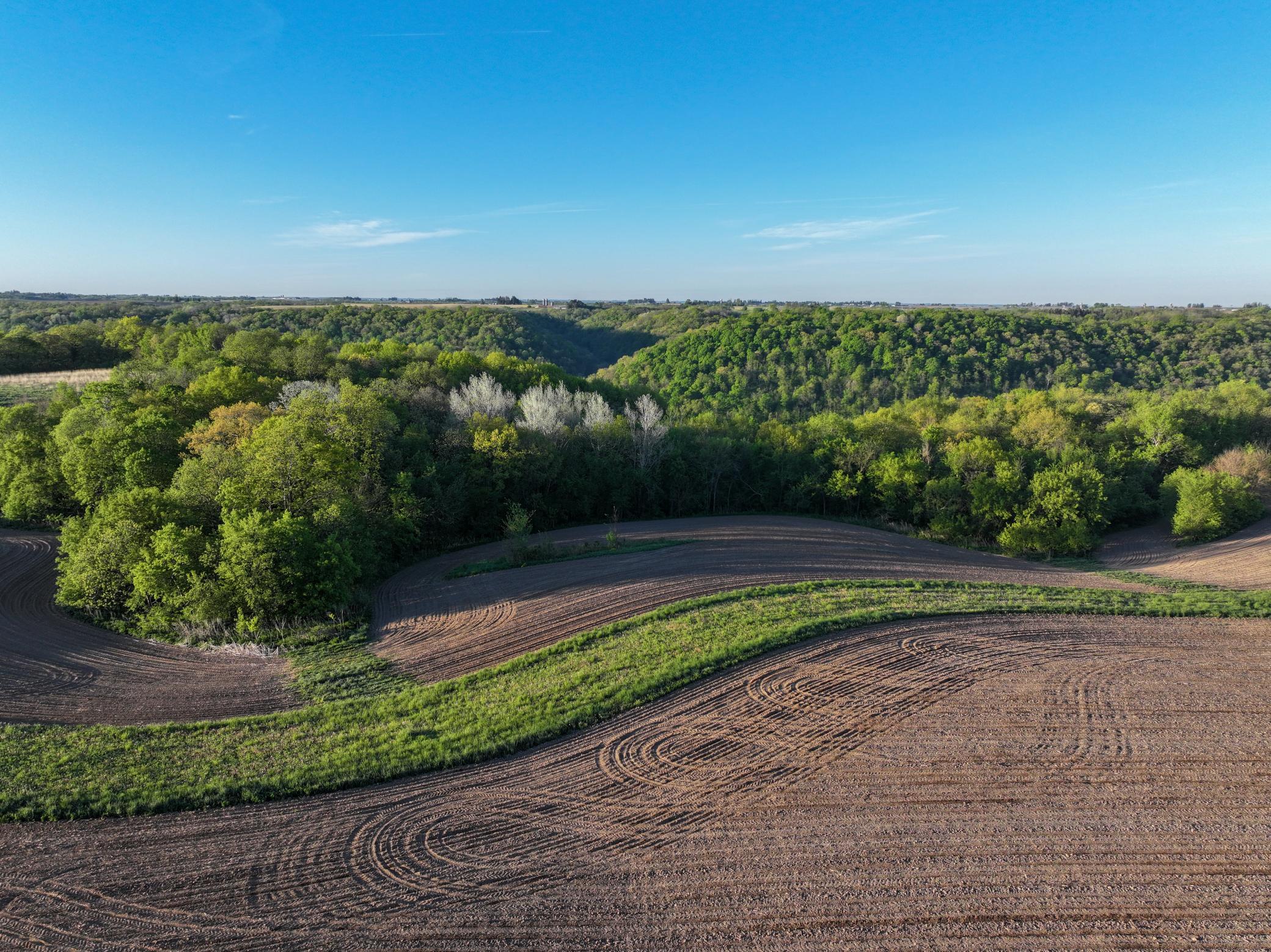 19807 Balentine Road Caledonia, MN 55921 - Photo 64 of 91